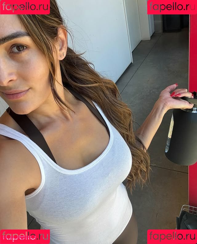 Nikki Bella Onlyfans Photo Gallery 