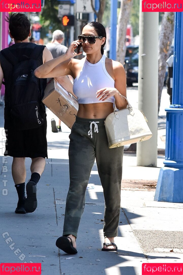 Nikki Bella Onlyfans Photo Gallery 