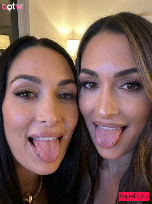Nikki Bella Nude Onlyfans Photo 36