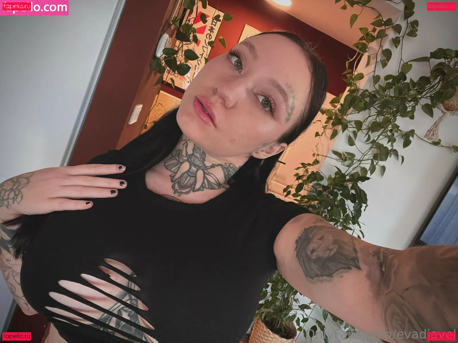 evadiavel Onlyfans Photo Gallery 