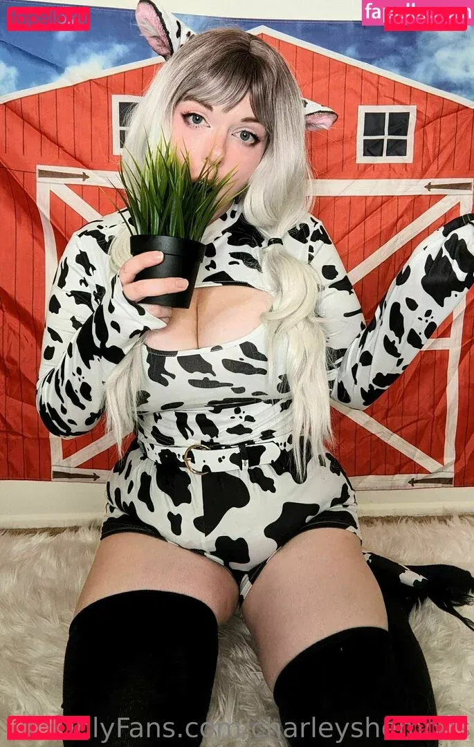 charleyshemoos Onlyfans Photo Gallery 