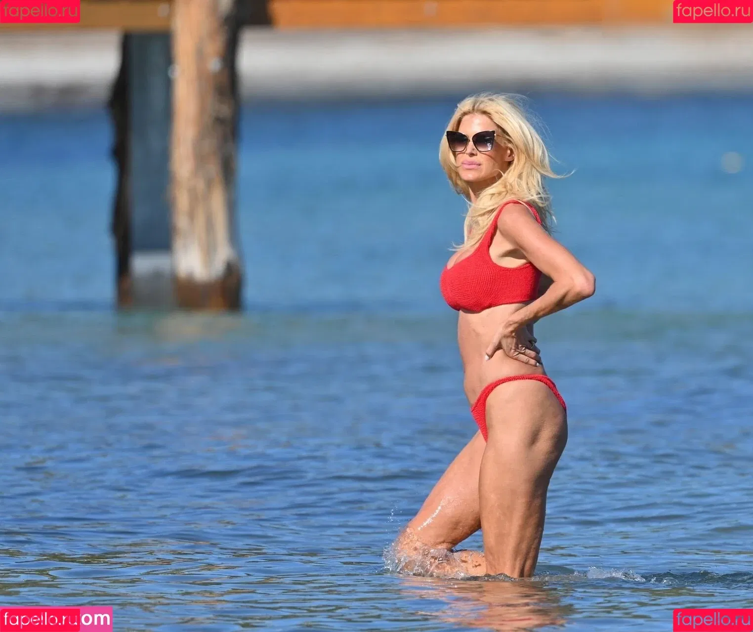 Victoria Silvstedt Onlyfans Photo Gallery 