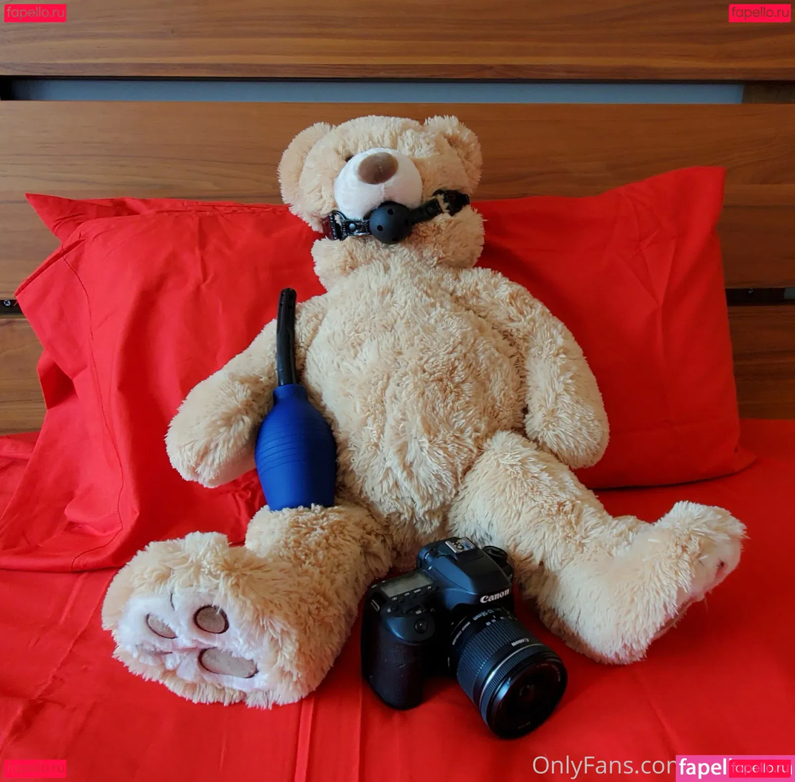 Kissasins Onlyfans Photo Gallery 