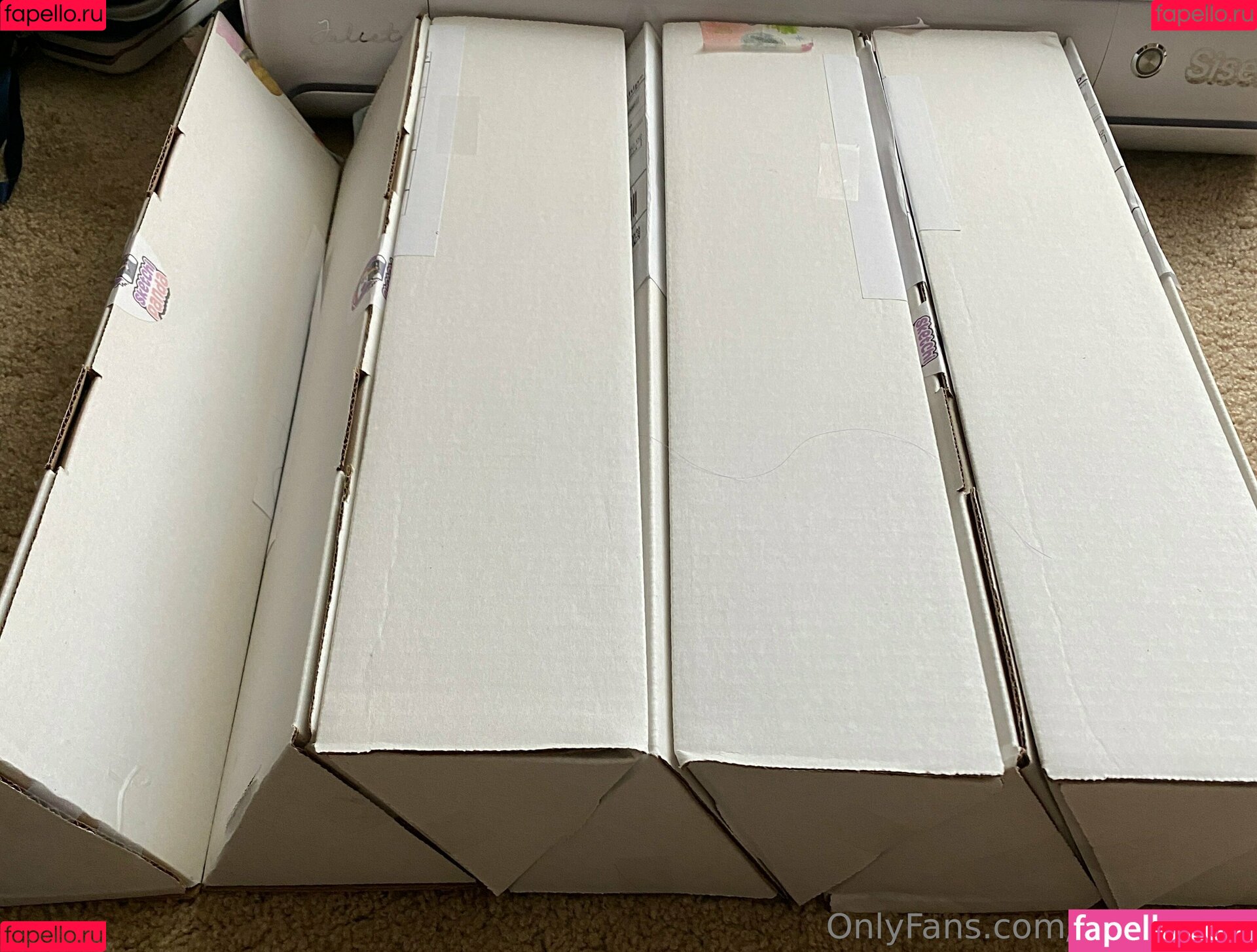 Ruipandaa Onlyfans Photo Gallery 