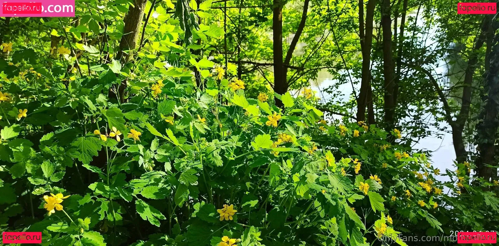 MoniCutex Onlyfans Photo Gallery 