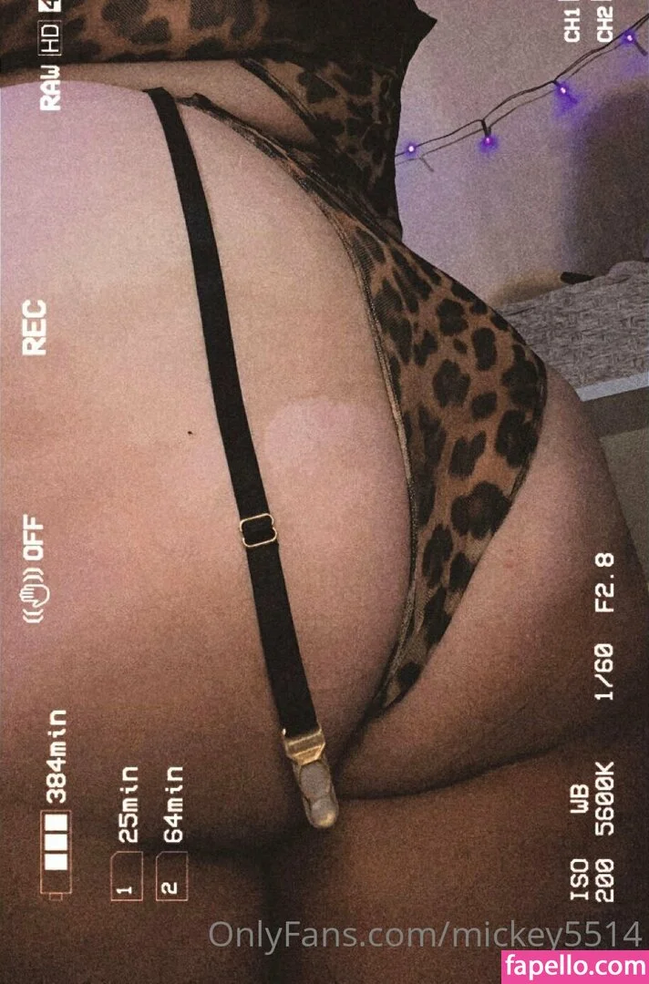 mickey55 Nude Onlyfans Photo 78