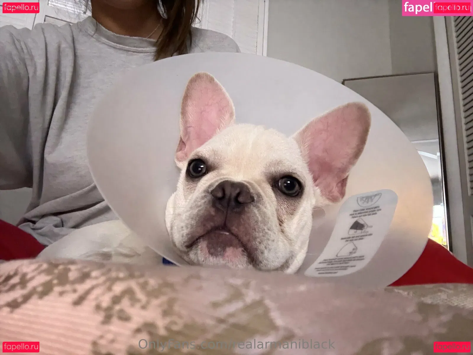 realarmaniblack Onlyfans Photo Gallery 