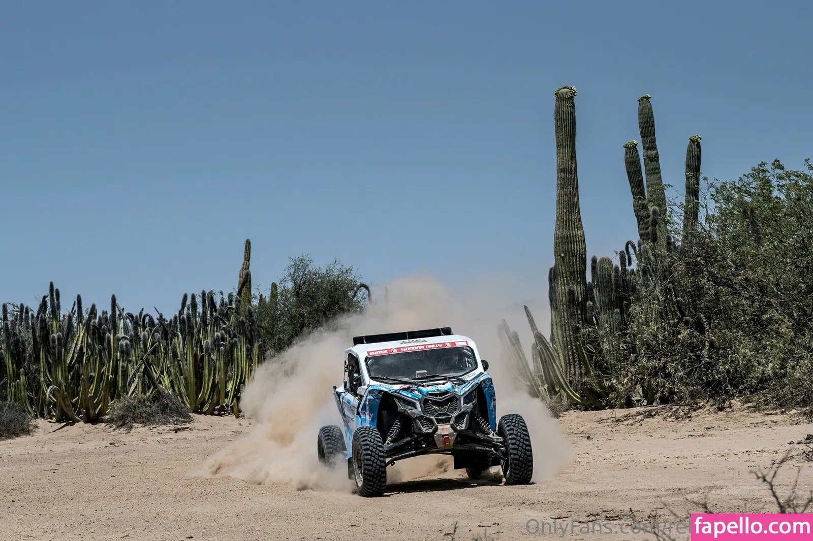 rebeccabusi33 Onlyfans Photo Gallery 