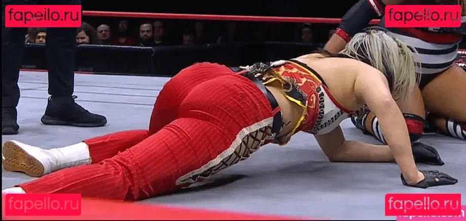 Hikaru Shida Onlyfans Photo Gallery 