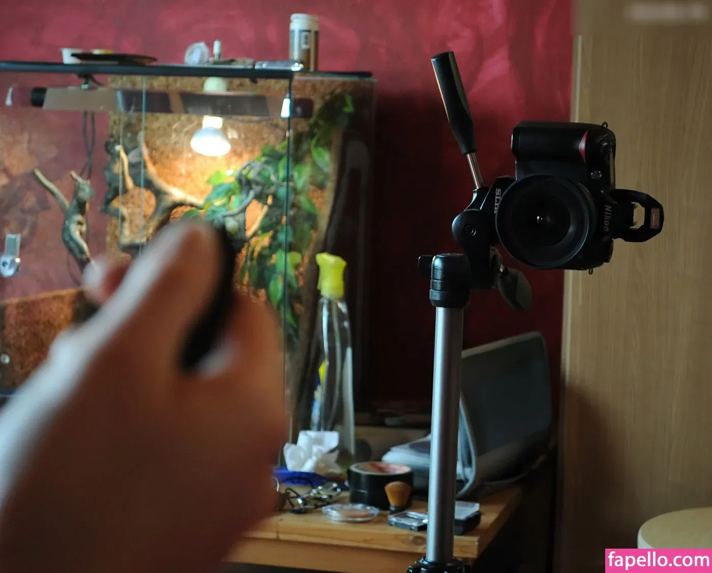 Girls Magazine Onlyfans Photo Gallery 