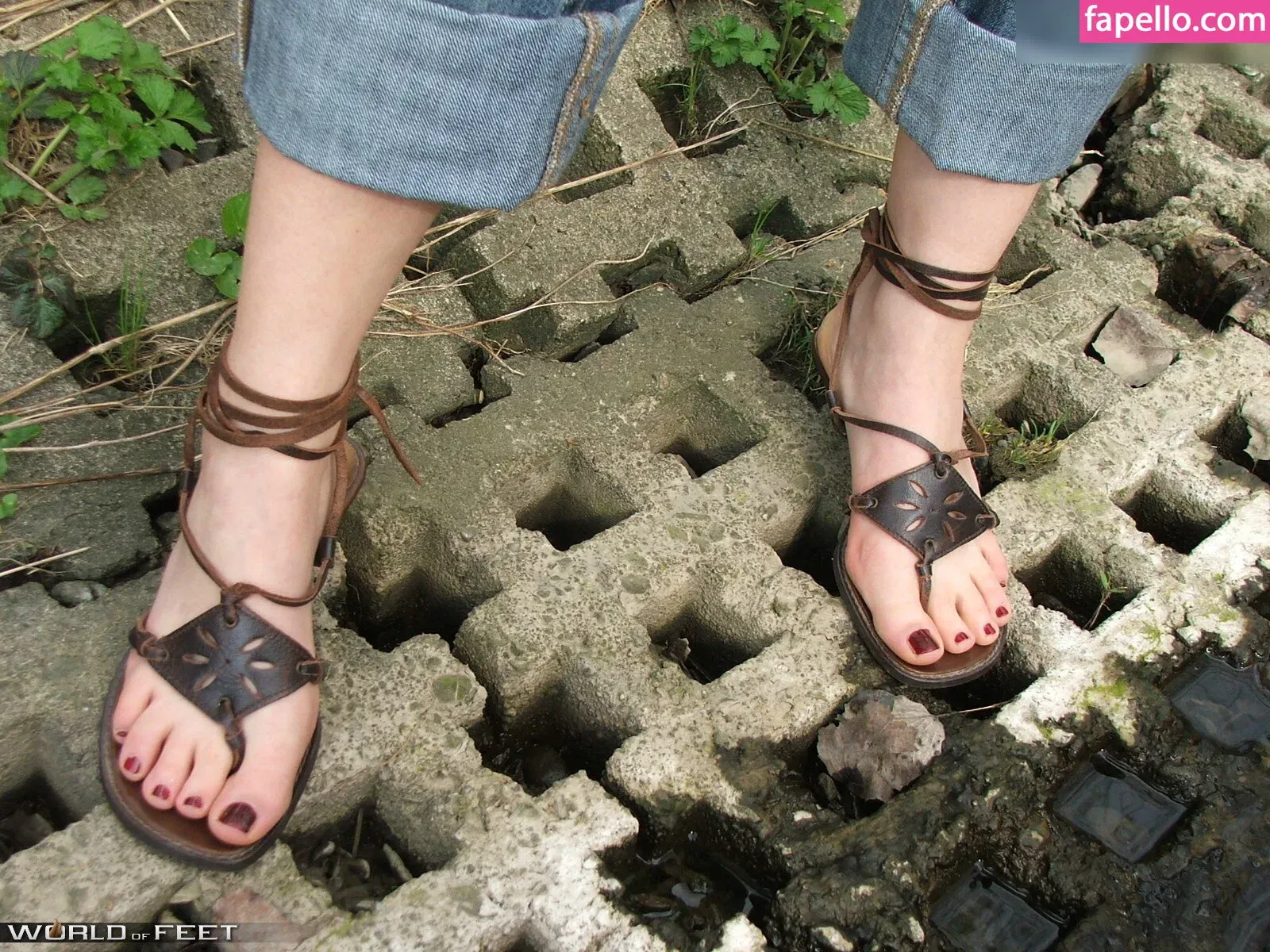 Worldoffeet Onlyfans Photo Gallery 