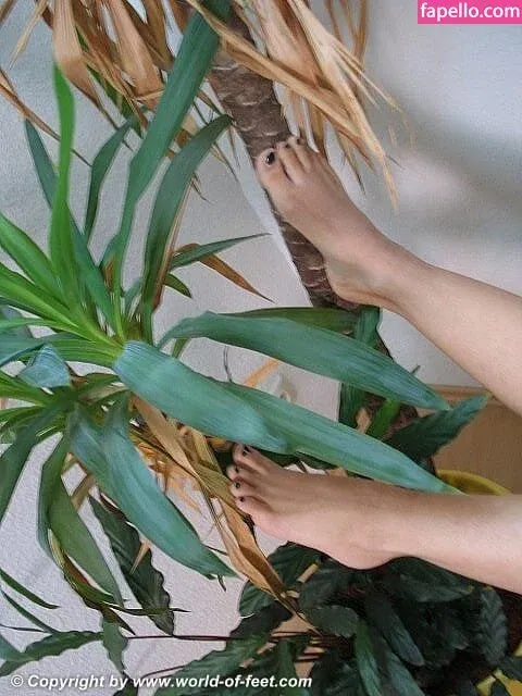 Worldoffeet Onlyfans Photo Gallery 