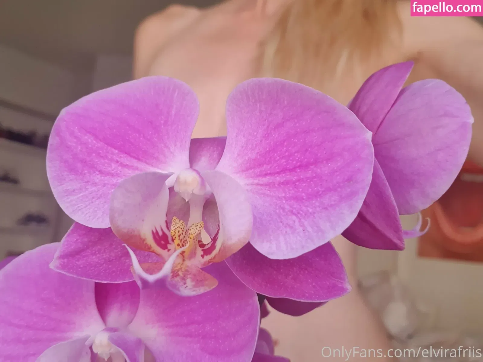 elvirafriis Onlyfans Photo Gallery 