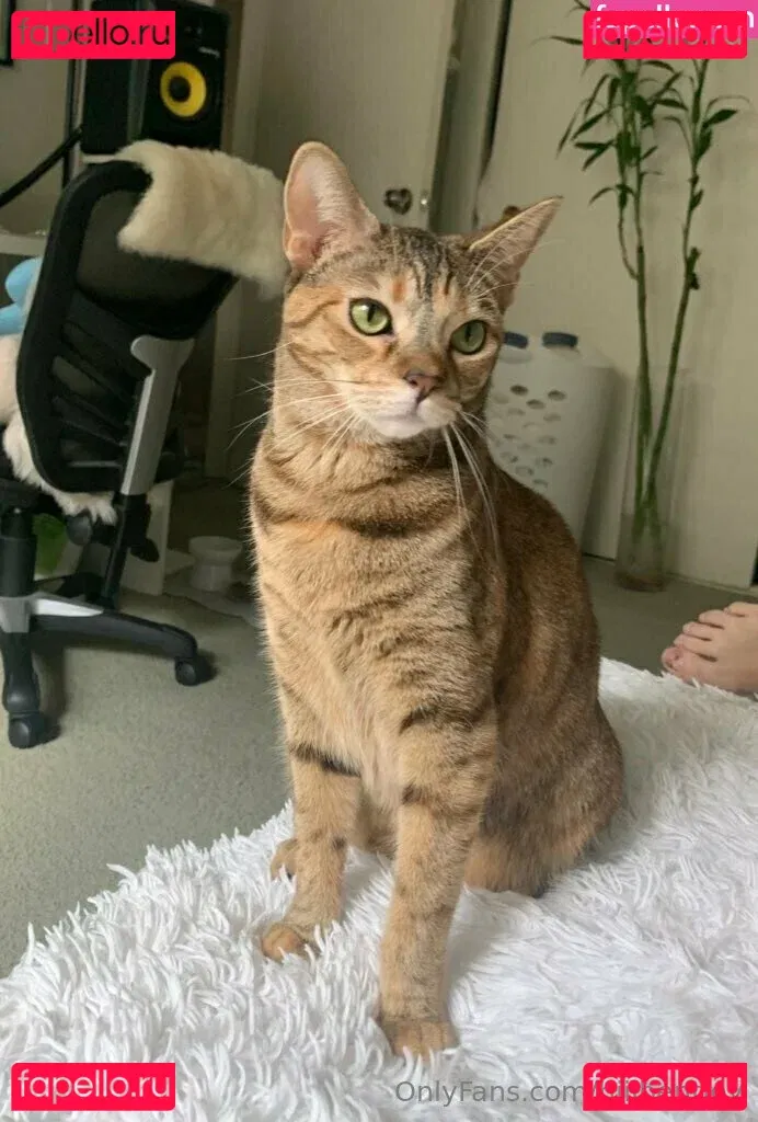 hiiibentley Onlyfans Photo Gallery 