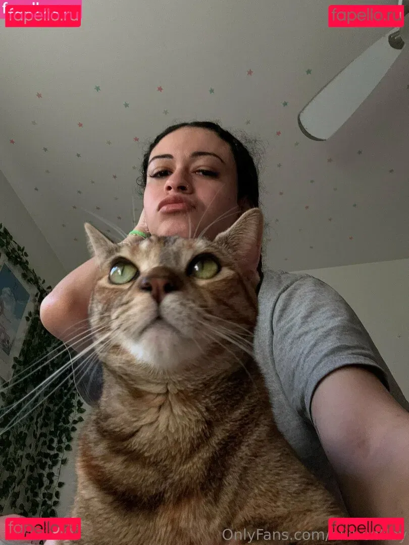 hiiibentley Onlyfans Photo Gallery 