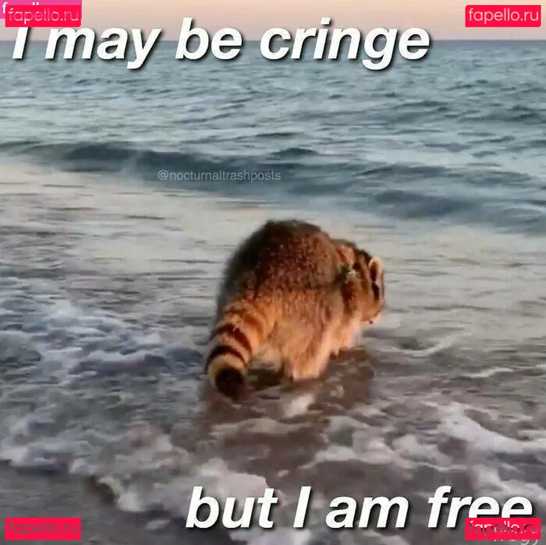 froggggy Onlyfans Photo Gallery 