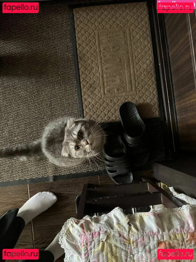 froggggy Onlyfans Photo Gallery 