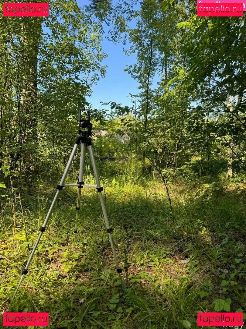 froggggy Onlyfans Photo Gallery 