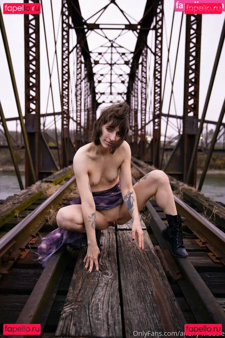 anony-mousie Onlyfans Photo Gallery 