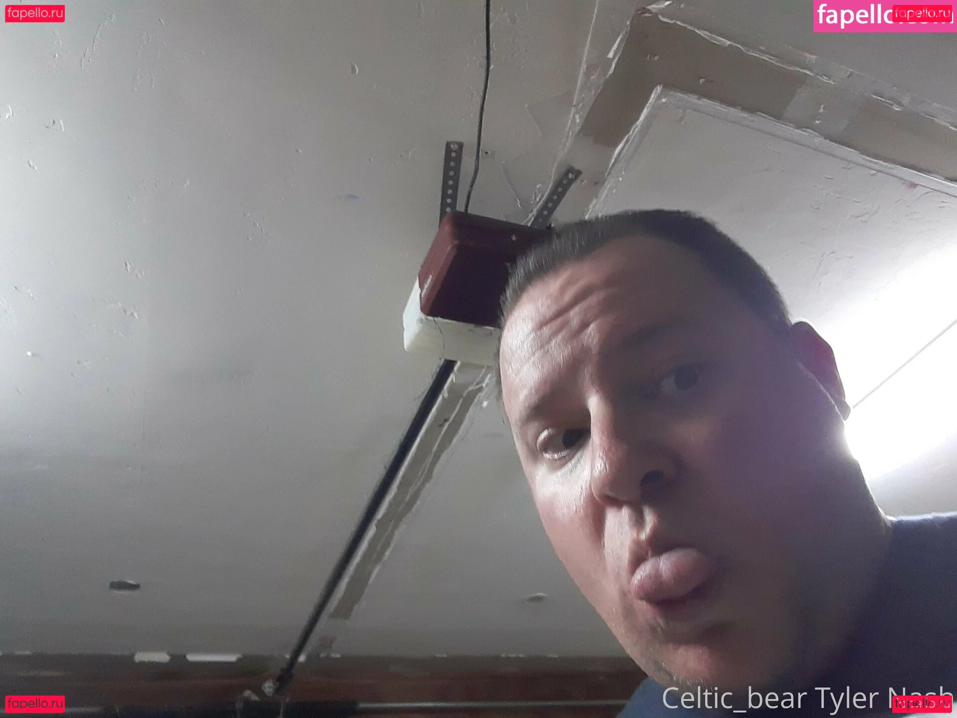 celtic_bear Onlyfans Photo Gallery 