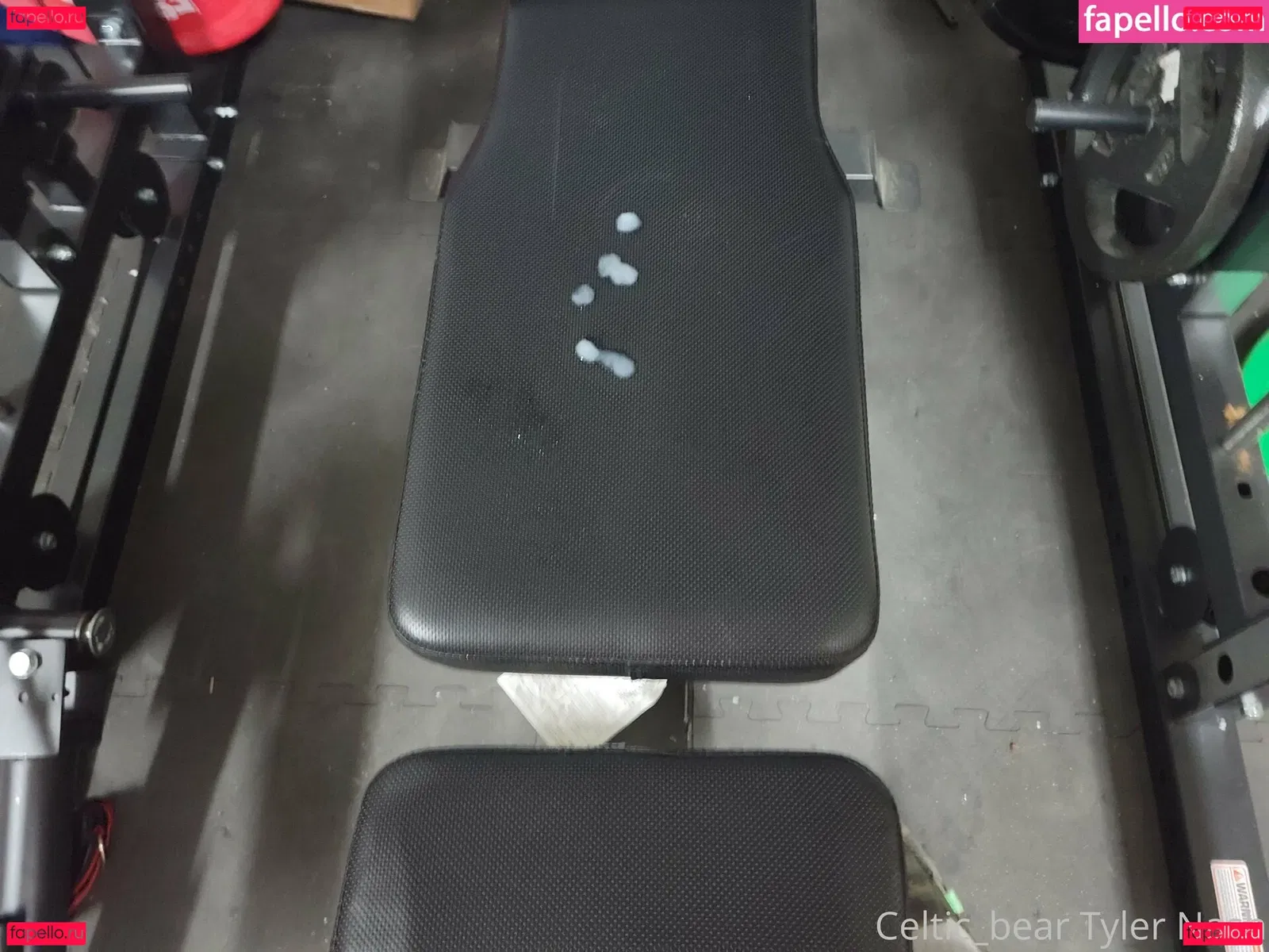 celtic_bear Onlyfans Photo Gallery 