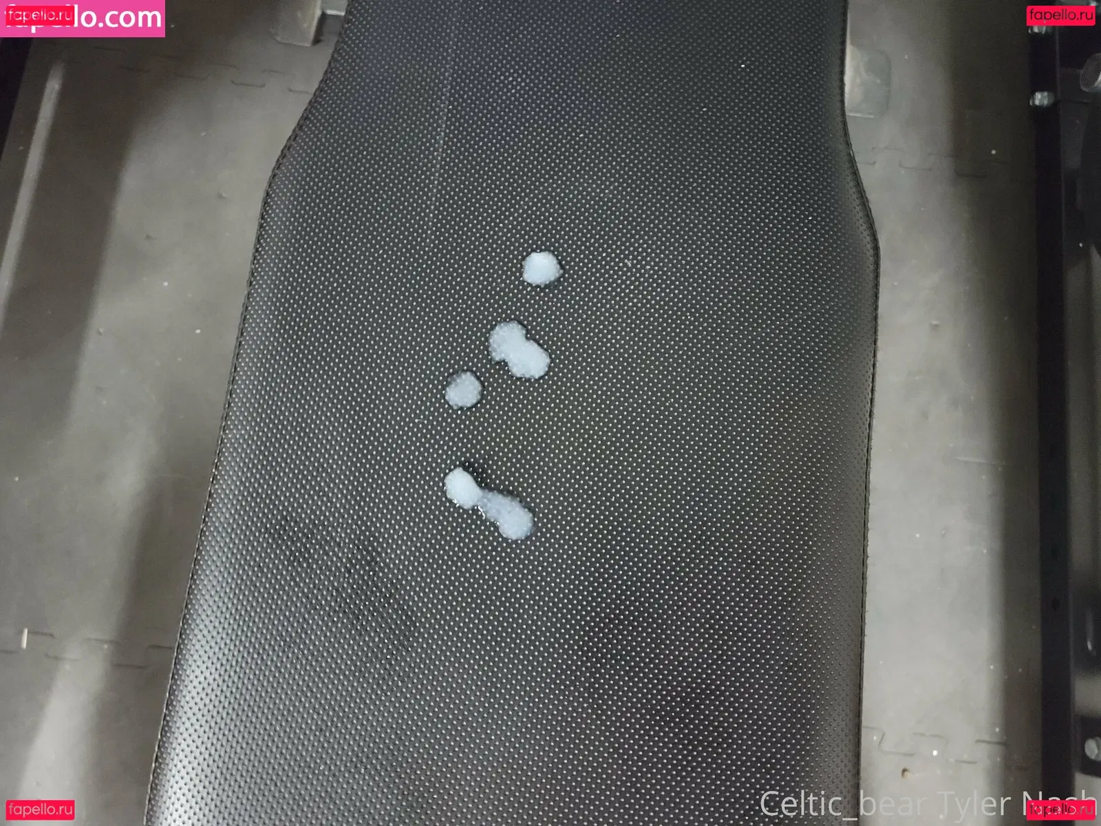 celtic_bear Onlyfans Photo Gallery 