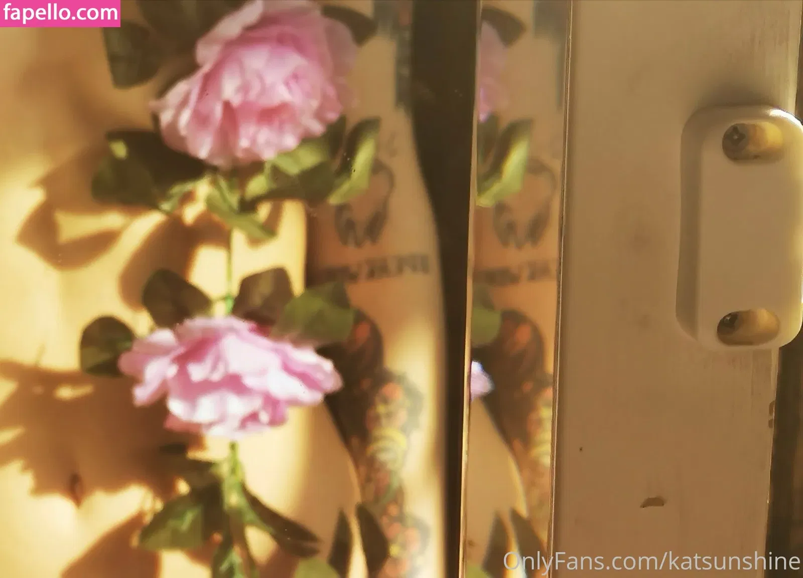 katsunshine Onlyfans Photo Gallery 