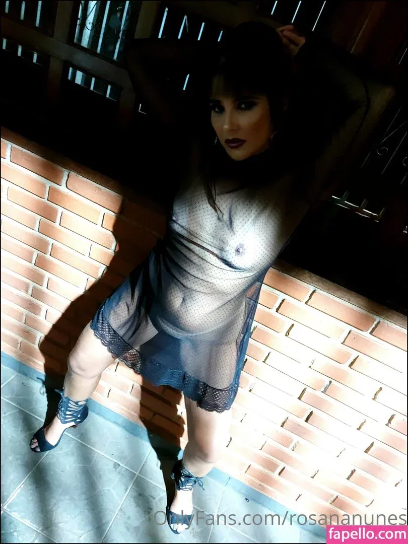 rosananunes Onlyfans Photo Gallery 