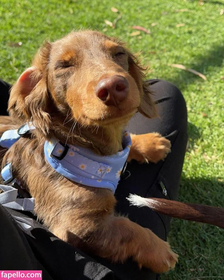 Alisha Pertini Onlyfans Photo Gallery 