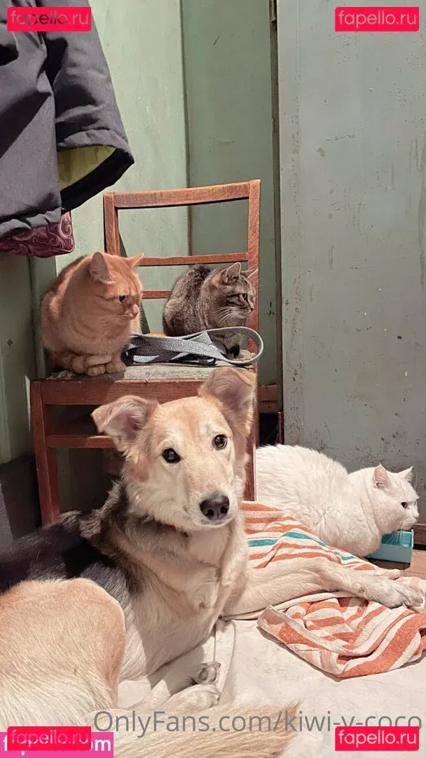 kiwi-y-coco Onlyfans Photo Gallery 