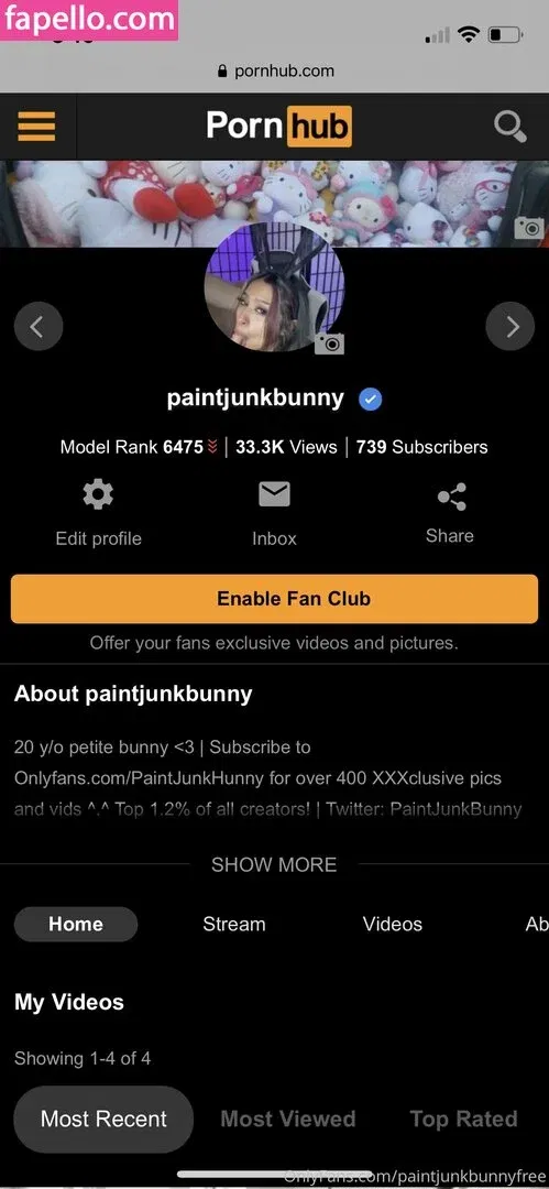 paintjunkbunnyfree Onlyfans Photo Gallery 