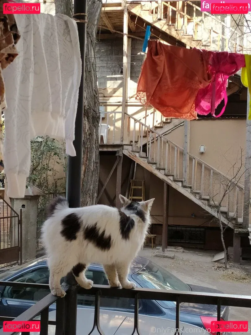 youreyeshere Onlyfans Photo Gallery 