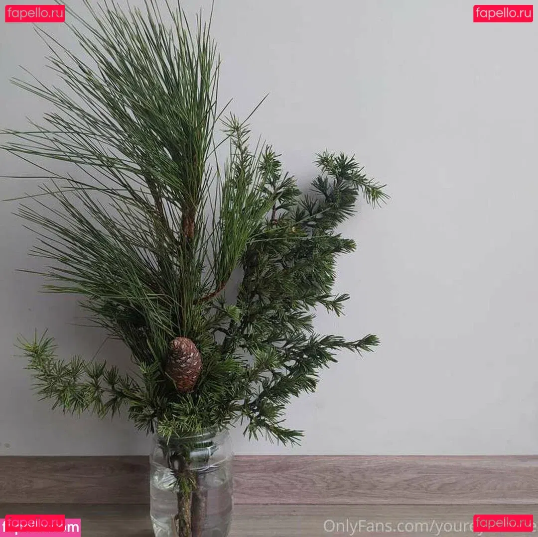 youreyeshere Onlyfans Photo Gallery 