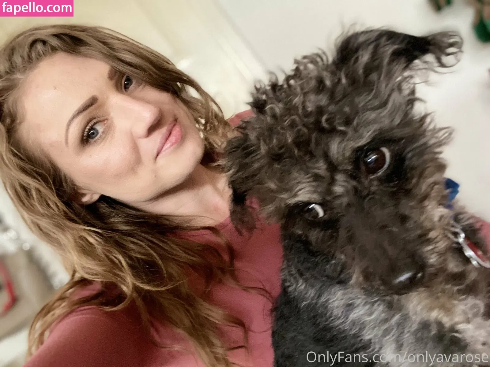 onlyavarose Onlyfans Photo Gallery 