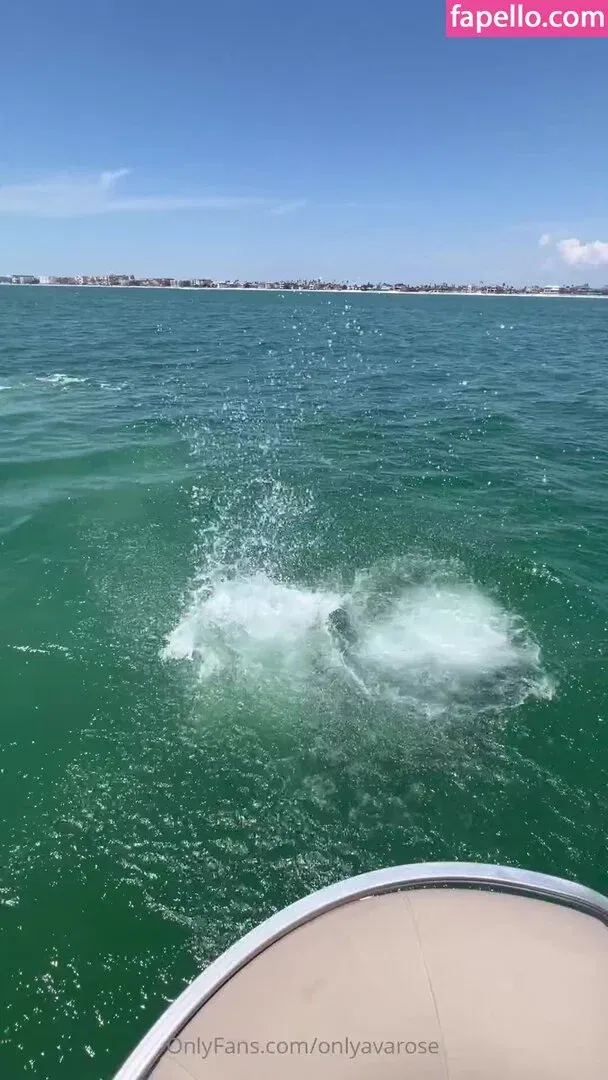 onlyavarose Onlyfans Photo Gallery 