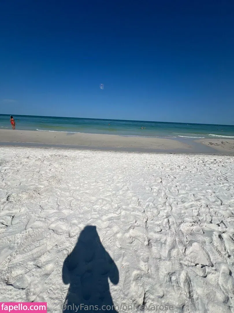 onlyavarose Onlyfans Photo Gallery 