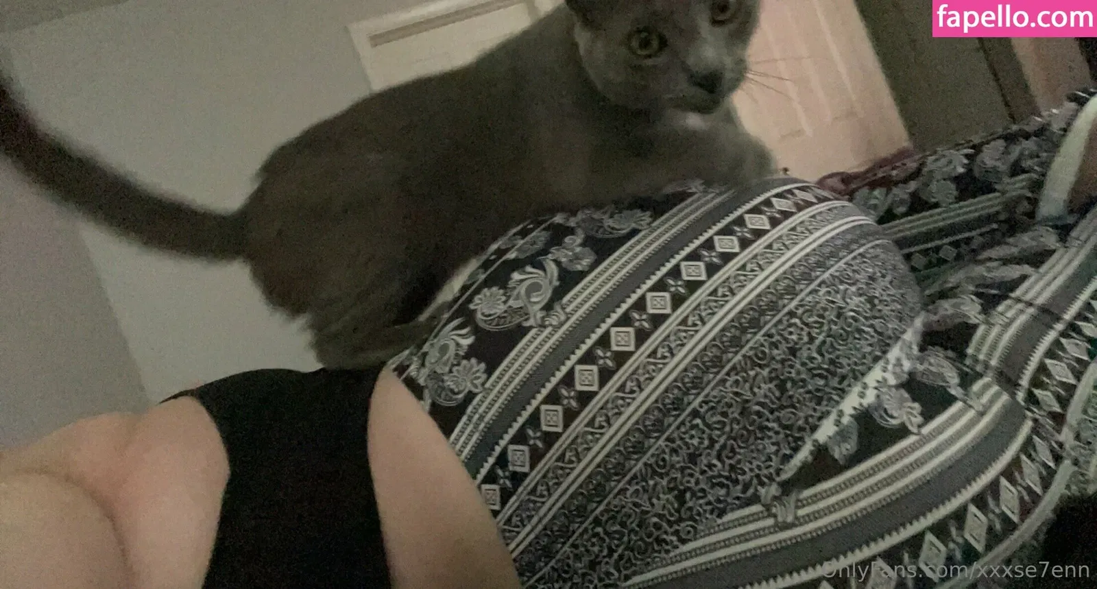 xxxse7enn Onlyfans Photo Gallery 