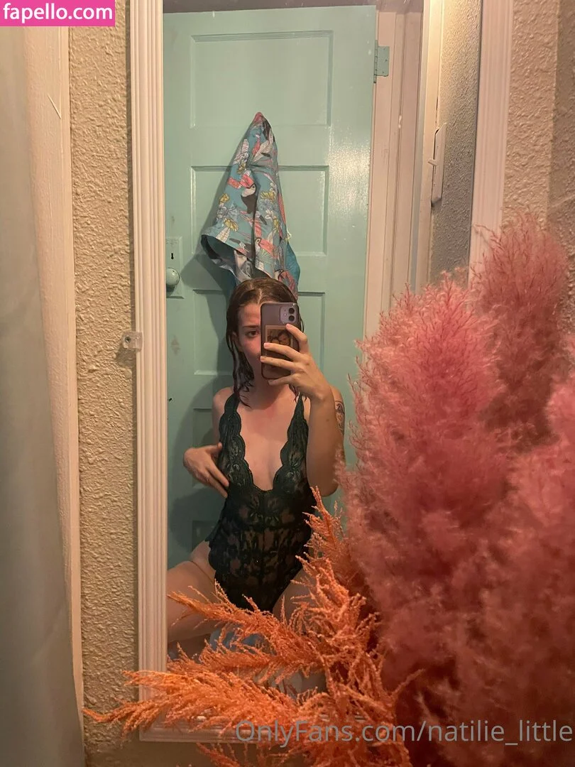 little_nnata Nude Onlyfans Photo 16