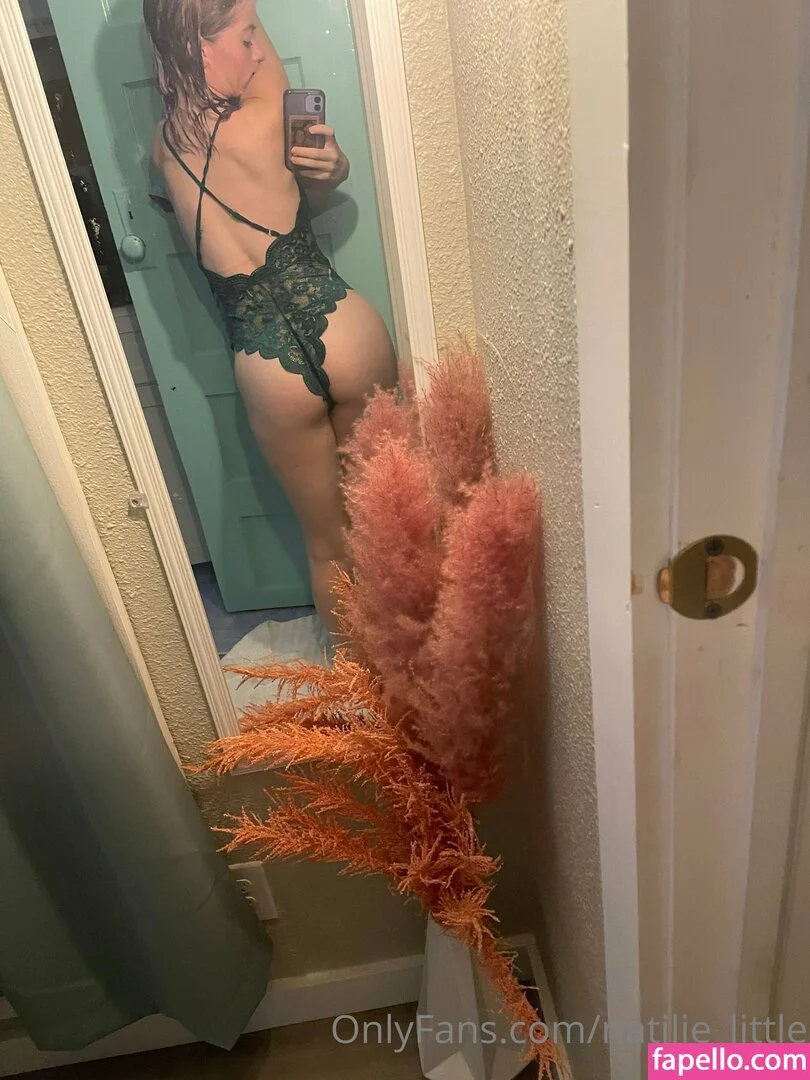 little_nnata Nude Onlyfans Photo 13