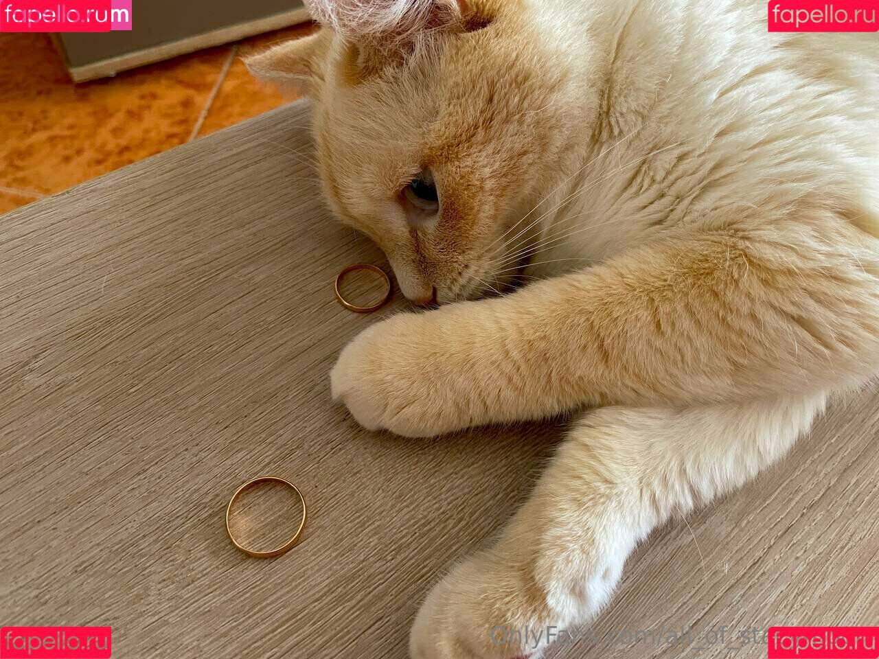 all_of_stacymoon Onlyfans Photo Gallery 