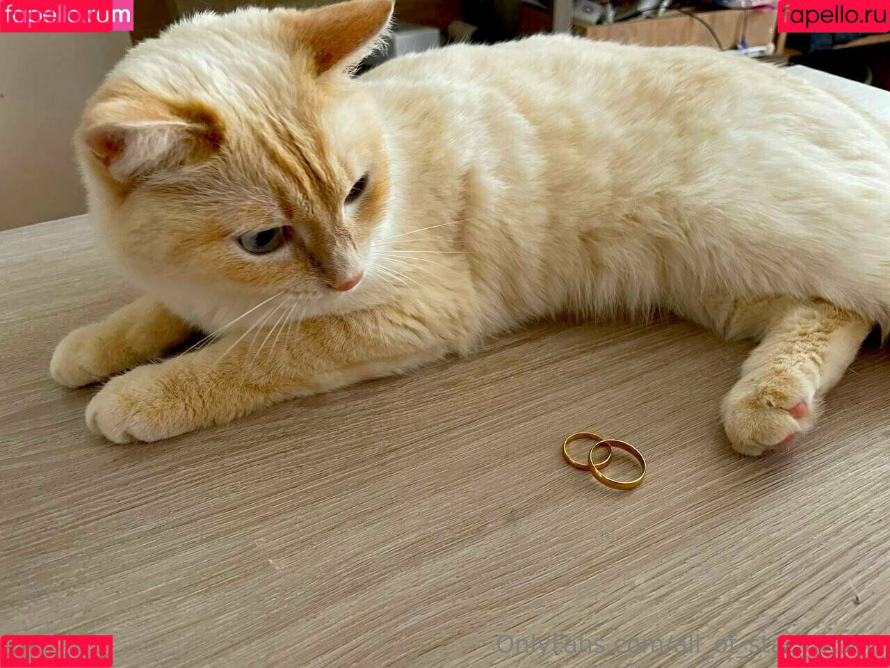 all_of_stacymoon Onlyfans Photo Gallery 