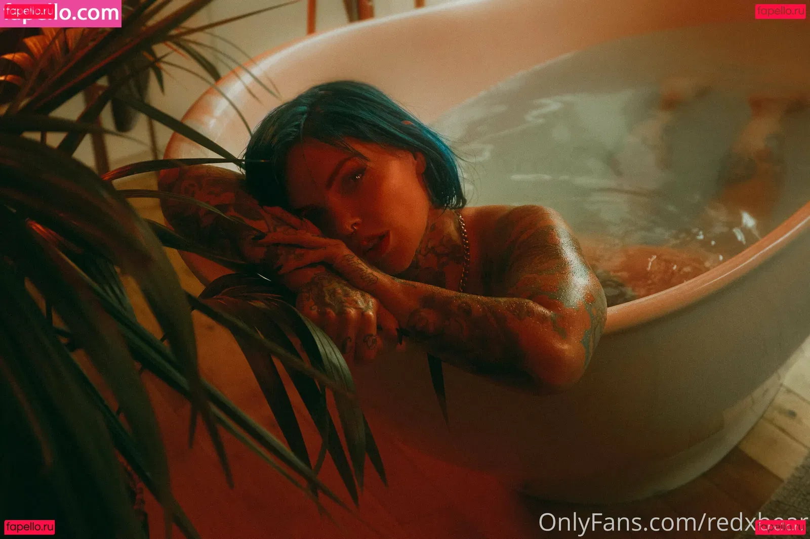 redxbear Onlyfans Photo Gallery 