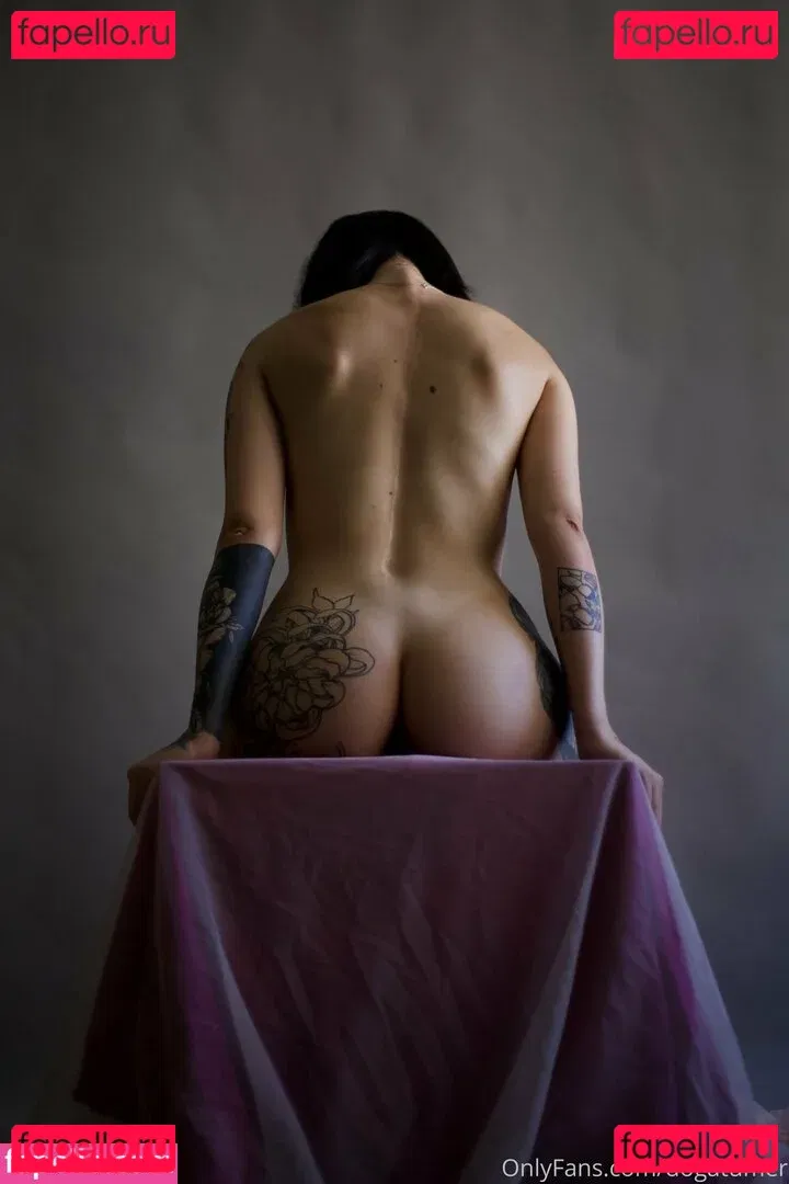 dogatumer Onlyfans Photo Gallery 