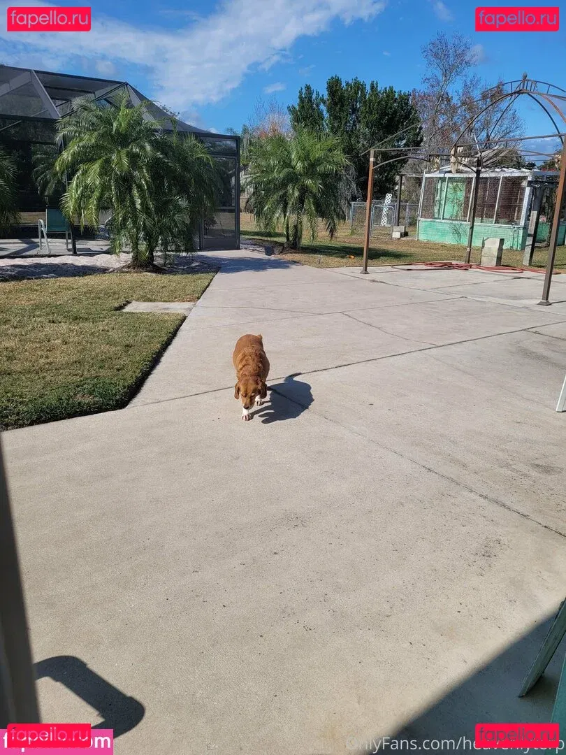 heavenlyterp Onlyfans Photo Gallery 