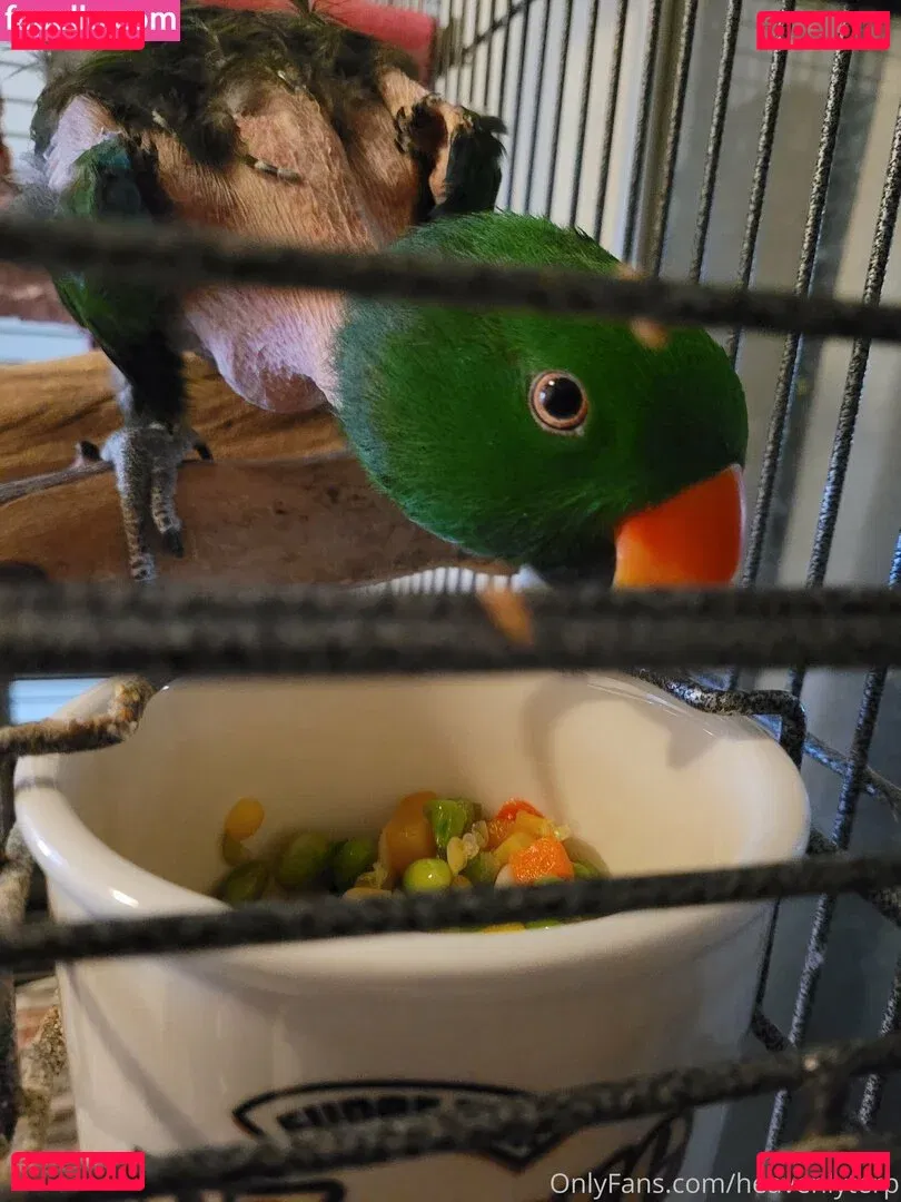 heavenlyterp Onlyfans Photo Gallery 