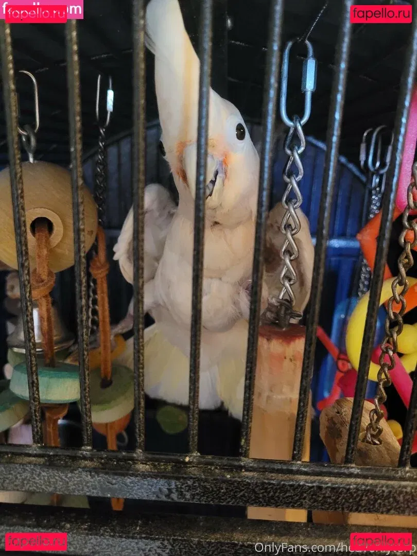 heavenlyterp Onlyfans Photo Gallery 