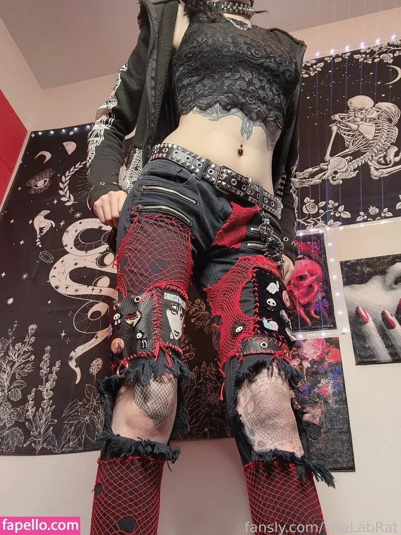 TheLabRat Onlyfans Photo Gallery 