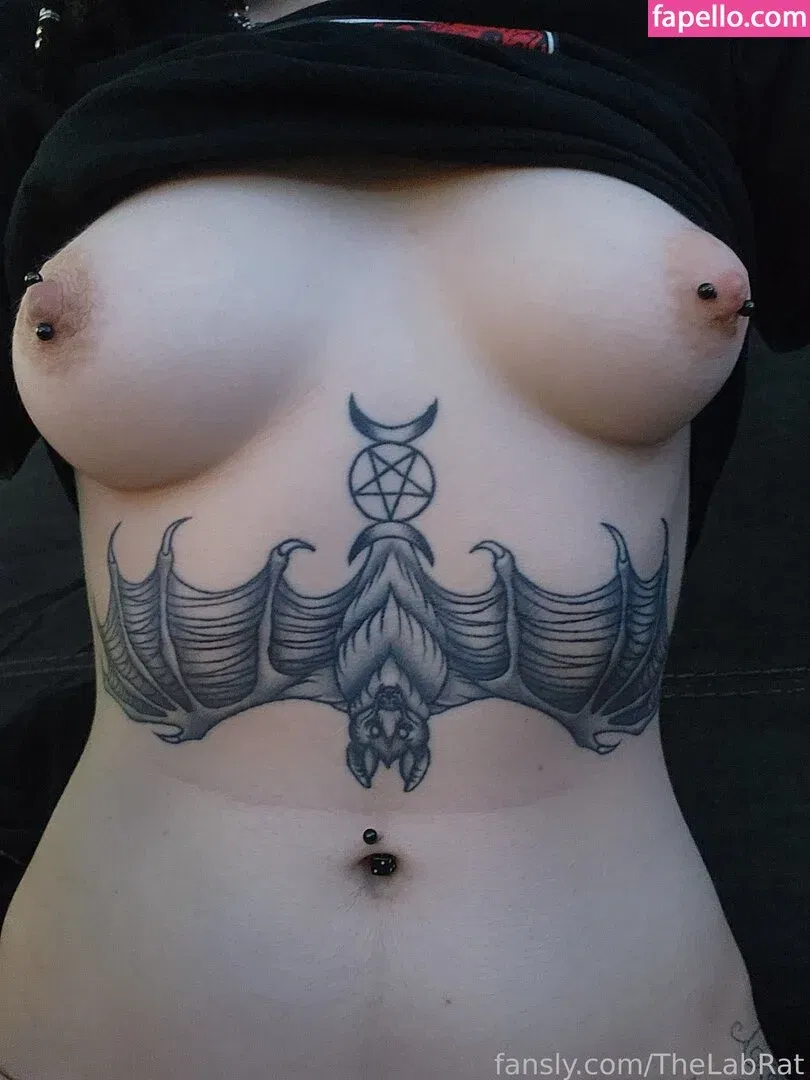 TheLabRat Onlyfans Photo Gallery 