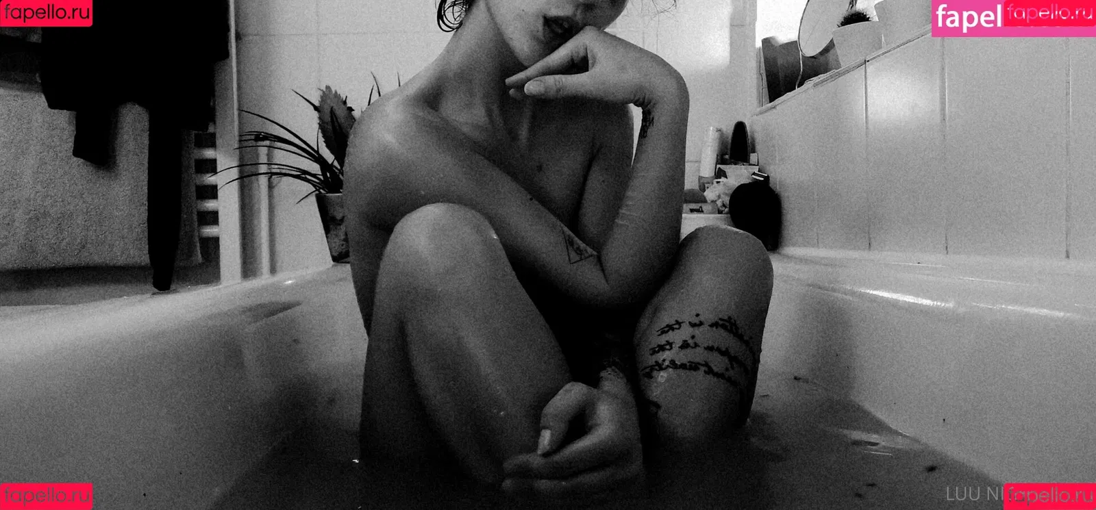 luu_nighthawk Onlyfans Photo Gallery 