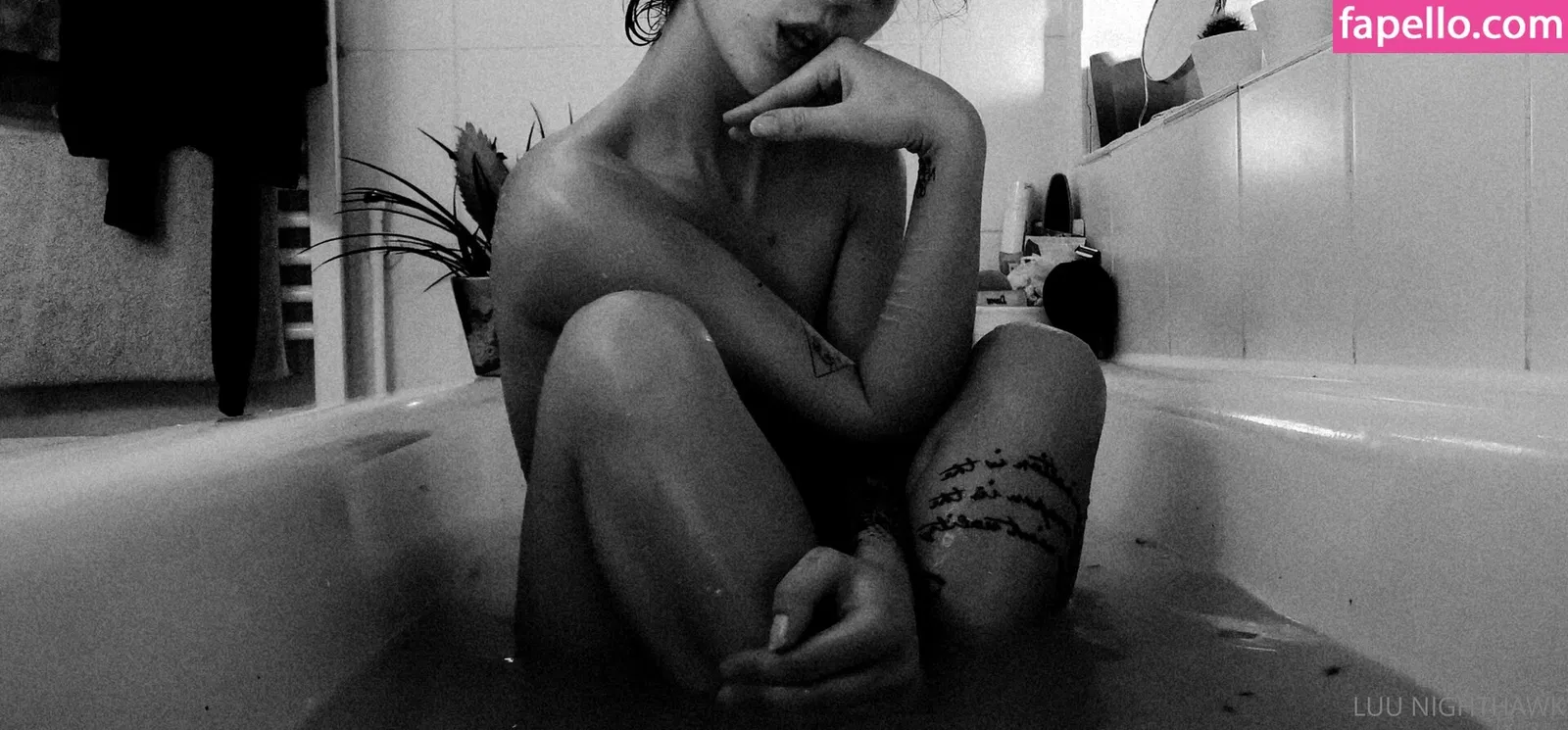 luu_nighthawk Onlyfans Photo Gallery 